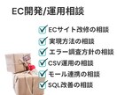 EC開発・改修・運用のお悩み相談に対応します どうしたらいいか分からない、合っているか不安な方 イメージ1