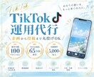 9月割引中！TikTok運用サポートいたします 【丸投げOK】TikTokの運用を1ヶ月間サポートします！ イメージ1
