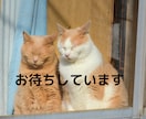 お悩みから雑談までライン感覚で60分間お聞きします 恋愛関係/夫婦関係/人間関係/話し相手/コロナ疲れ/不安など イメージ6
