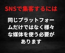 61万PVブログでSNSを拡散・宣伝・集客します X(Twitter)、Instagram、tiktokなど イメージ7