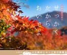 Webサイト・HP制作｜Webマーケターが作ります 設計＆戦略をパッケージでご提案！納品後もご自身でできるように イメージ4