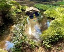 お相手様が浮気、不倫してないか霊感霊視で鑑定します 遠距離や単身赴任など離れているあの人を占います イメージ1