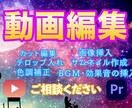 YouTube向け動画編集&サムネイル作成承ります 丁寧かつスピード納品に努めます！ イメージ1
