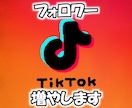 TikTokフォロワー増やします 高品質/減少ほぼ無し/フォロワー増加 イメージ1