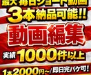 YouTube動画編集代行します 【実績多数】他媒体では毎月150件以上の制作実績が御座ます イメージ5