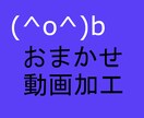 動画加工します 私の裁量であなたの動画に加工します イメージ1
