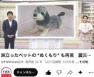 フジTVイット！出演・羊毛フェルトのペット作ります ペットちゃんとの思い出やご家族の想いもお人形に込めます イメージ12