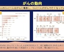 PowerPoint、ワード資料作成をします 看護学生必見！皆んなに伝わるプレゼン資料、作成をサポート イメージ5