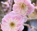 貴方の愚痴、何でも聞きます 何でも話してスッキリしましょう。 イメージ1