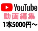 YouTube用の動画を編集します 用途やジャンルに合わせて動画編集いたします イメージ1