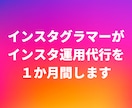 インフルエンサーが1か月間インスタ運用代行します ユーザーを増やすため、親身になって運用サポートをします。 イメージ1