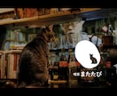 カフェ・喫茶店・飲食店のロゴを現役プロが制作します お手ごろ価格で品質の高いロゴをデザインします！ イメージ2
