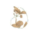 ゆるいタッチで大切なペットのイラスト描きます 大事なペットのイラストを、心を込めて描きます！ イメージ3