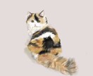 ご自宅で飼われているネコちゃんのイラストを描きます お気に入りの写真をイラスト風に作成しませんか？ イメージ2
