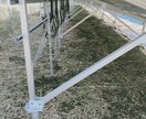 太陽光発電所の草刈りを行います エリア　九州（離島、沖縄除く） イメージ1