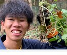 スマホ対応のホームページ作ります 修正や更新も気軽に対応します。 イメージ4