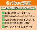 代理店の方もOK！CRITEO運用、全て担当します CRITEO運用14年のプロが設定から運用までサポートします イメージ2