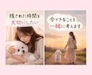 愛犬との限られた時間に寄り添います 残された大切な時間のお気持ちに寄り添います イメージ4
