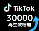 激安！TikTok再生回数+30000回宣伝します なんと1再生あたり0.1円！ティックトックを強化しよう イメージ1