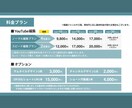 最短2日納品！SNS向けの動画編集お請けします ビジネス・エンタメ・ショートなどオールジャンル対応可！ イメージ2