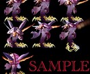 厚塗り風一枚絵・立ち絵描きます モンスターや人物の一枚絵を、厚塗りイラストでお届け。 イメージ3