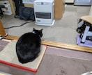 あなたの悩みや愚痴を聞きます アドバイスや診断はしません。とにかく誰かと話したい方の窓口。 イメージ4