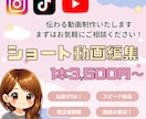丸投げOK！柔軟な対応◎ショート動画を編集します SNS用ショート動画編集します！ イメージ1