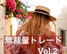 FX手法の基本！マーチンの具体的な方法を説明します 【FXトレードで必要なのはロジックによる「仕組み化」です！】 イメージ1