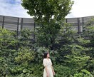 普通の写真を鮮やかに仕上げます 埋もれる写真から、選ばれる写真へ イメージ3