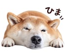 愛犬の写真から可愛いLINEスタンプを作ります 最新AI×丁寧な画像補正で、世界にひとつのスタンプを制作！ イメージ3