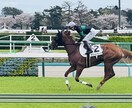 競馬予想のお手伝いをします 一緒に印、買い目を決めませんか？ イメージ1
