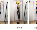 自宅で『くびれ』作りを徹底サポートします 忙しくてエクササイズの時間を取りづらい方でも簡単実践！ イメージ1