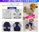 平置き写真から着用画像を作成します 商品の平置き写真だけでモデル着用写真の作成をします イメージ3