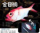 デジタル魚拓：リアル/墨/カラー/水彩から選べます 手刷り魚拓のような風合いで、一味違うデザインをお求めの方へ イメージ2