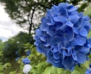 あなたのわがまま聞きます メンヘラ製造機です‼️あなたの理想の男性になりますよ☺︎ イメージ2