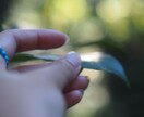 お話し相手になります 仕事、恋愛、親族、その他身近な人に話せないこと。 イメージ3