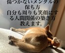 傷つかないメンタルの作り方！人間関係改善させます 人に恵まれた生活を送りませんか？ イメージ1