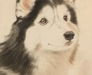 ペットのイラストをアナログで描きます 動物のイラストを色鉛筆やパステルで イメージ1