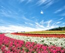 誰かと一言でも話したいとき、1分でもお話を伺います ちょっと聞いてよ〜恋愛•悩み•雑談など何でもお話下さいʚɞ イメージ7