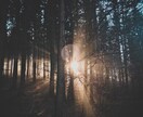 今のあなたの悩みに寄り添います 人生いい事も悪い事も経験しましたのでお役に立てるはず。 イメージ1