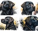 プロ品質のヘッダーやバナー等、各種画像を作成します 実績作りのため最安！画像最大4枚まで作成！用途・サイズ相談可 イメージ7