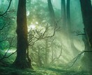 一歩先を行く、新しい未来への扉を開きます 復縁の可能性はあるのでしょうか？ イメージ3