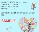 マヤ暦で大切なペットちゃん鑑定します 〜ペットちゃんとの相性（関係性）鑑定　ペットロスのお力にも〜 イメージ5