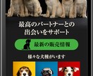 ペット関連店開業に最適なお手軽ページを作成します 小規模店舗向け！必要最低限ページ構成で素敵に仕上げます♪ イメージ4