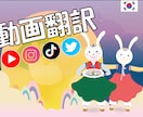 YouTubeなどのSNS動画を翻訳します 「今なんて言ったの？」を解決します イメージ1