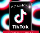 TikTokでバズるシナリオを添削します あなたのTikTok投稿をバズらせます。 イメージ1