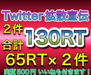 Twitterで６５RT×２件まで拡散宣伝します RTは全て日本人のアクティブユーザー！総フォロワー35万人！ イメージ1