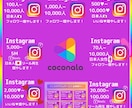 インスタ日本人フォロワーを30日かけて増やします インスタフォロワー30日ゆっくり増加【最高品質&お手頃価格】 イメージ6