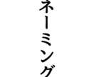 1000円でフランス語/イタリア語の名前付けます お気に入りのネーミングが決まるまで！ご相談にのります イメージ1