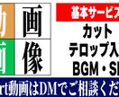 YouTube向け動画編集いたします Short動画、オーディション動画等 イメージ2